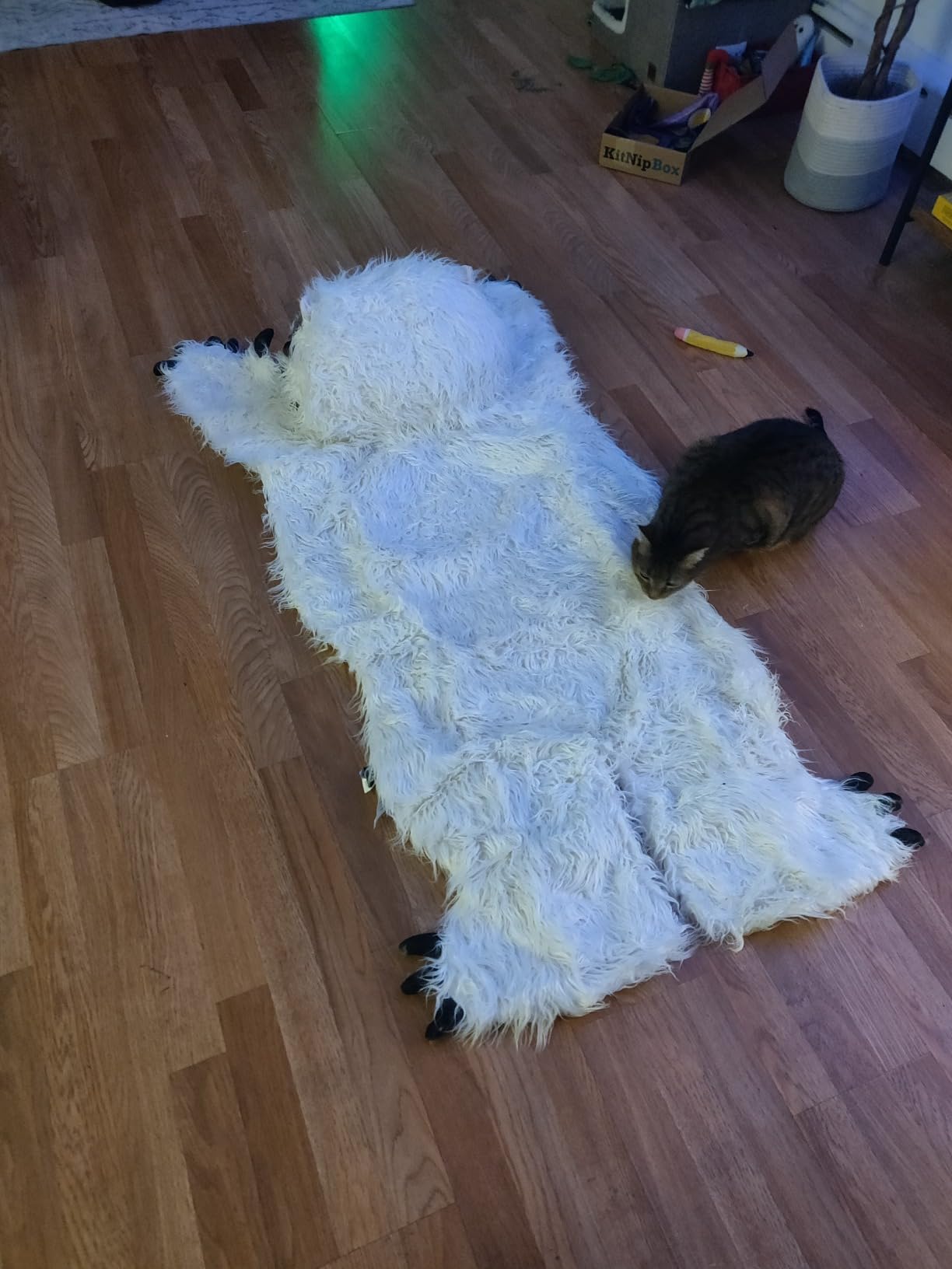 Wampa Rug customer review photo 1