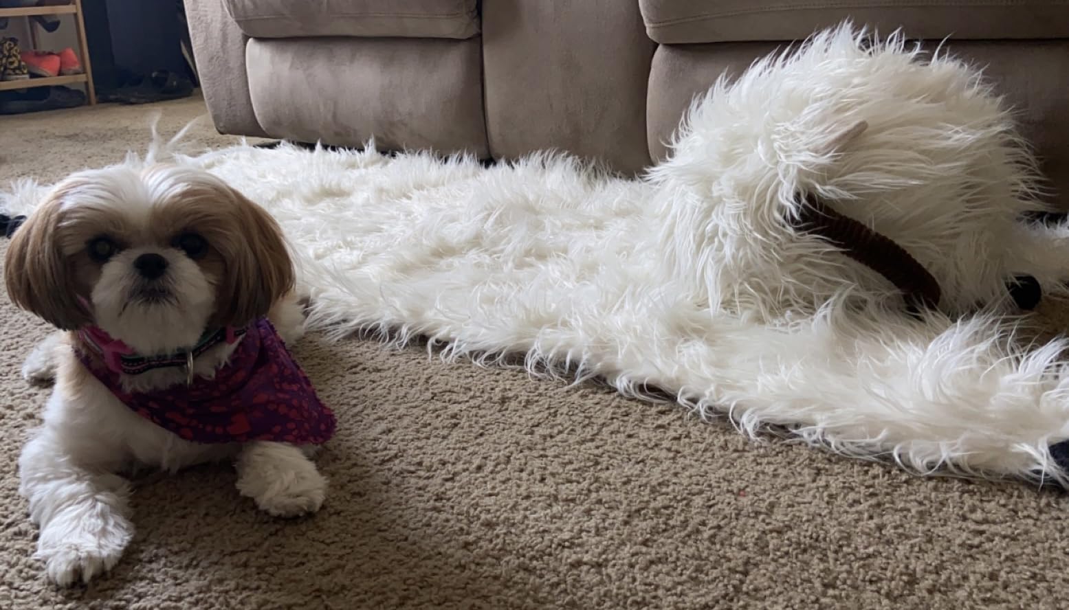 Wampa Rug customer review photo 3